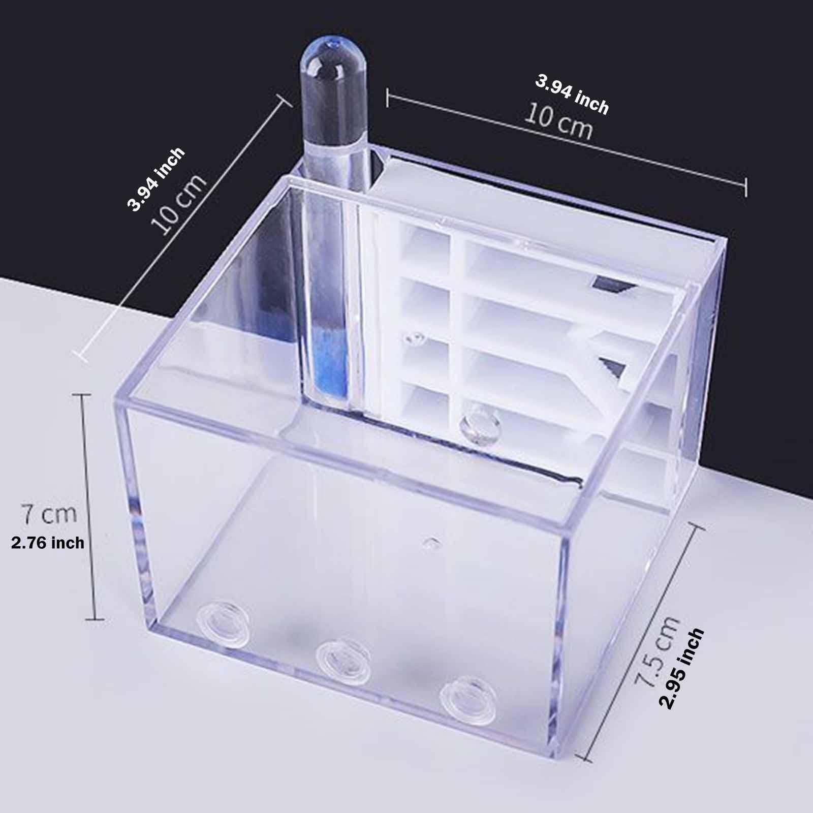 Home Decor Habitat - Formigueiro DIY: Estudo Educacional Científico, Fácil