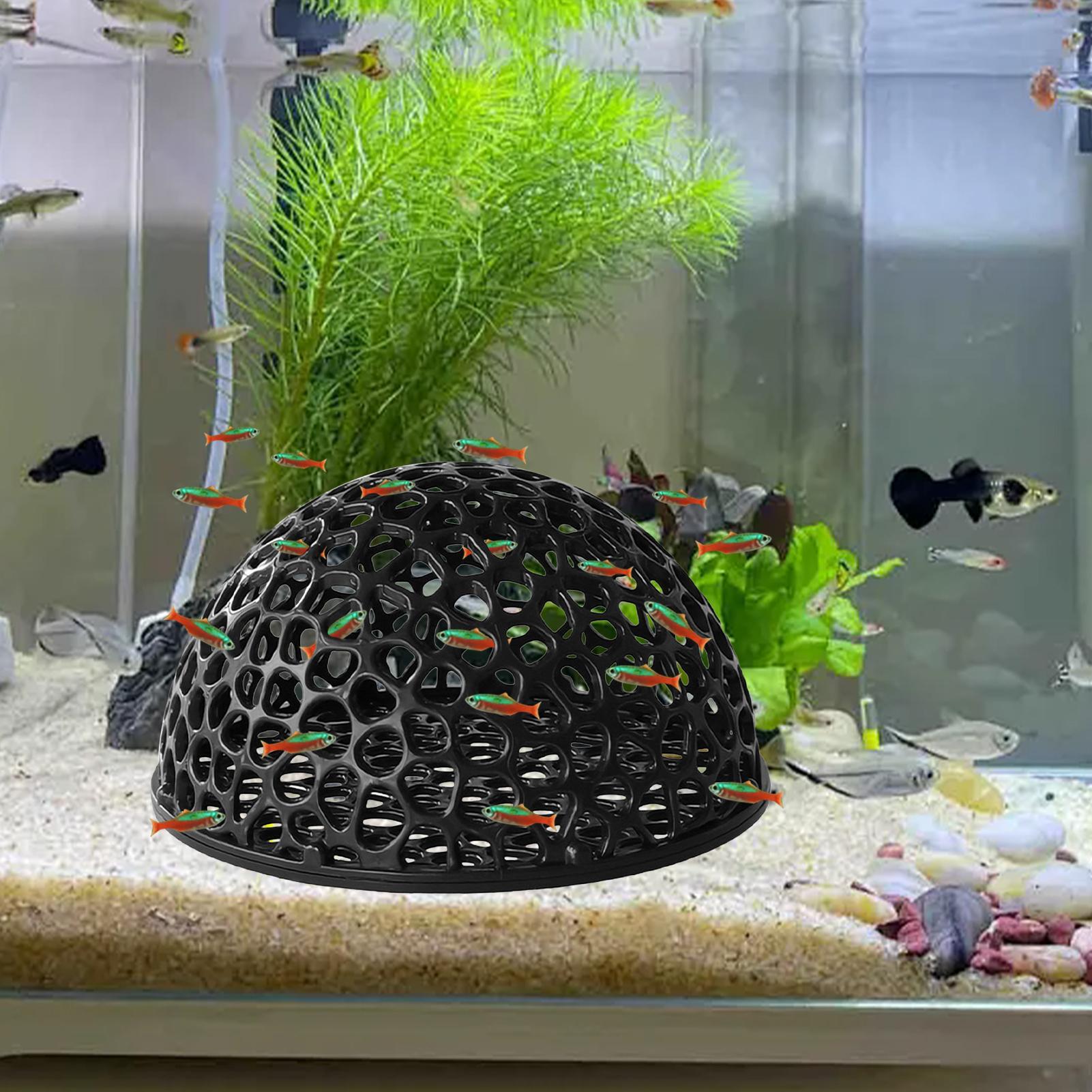 Home Decor Habitat - Caverna de Reprodução para Camarões, Decoração