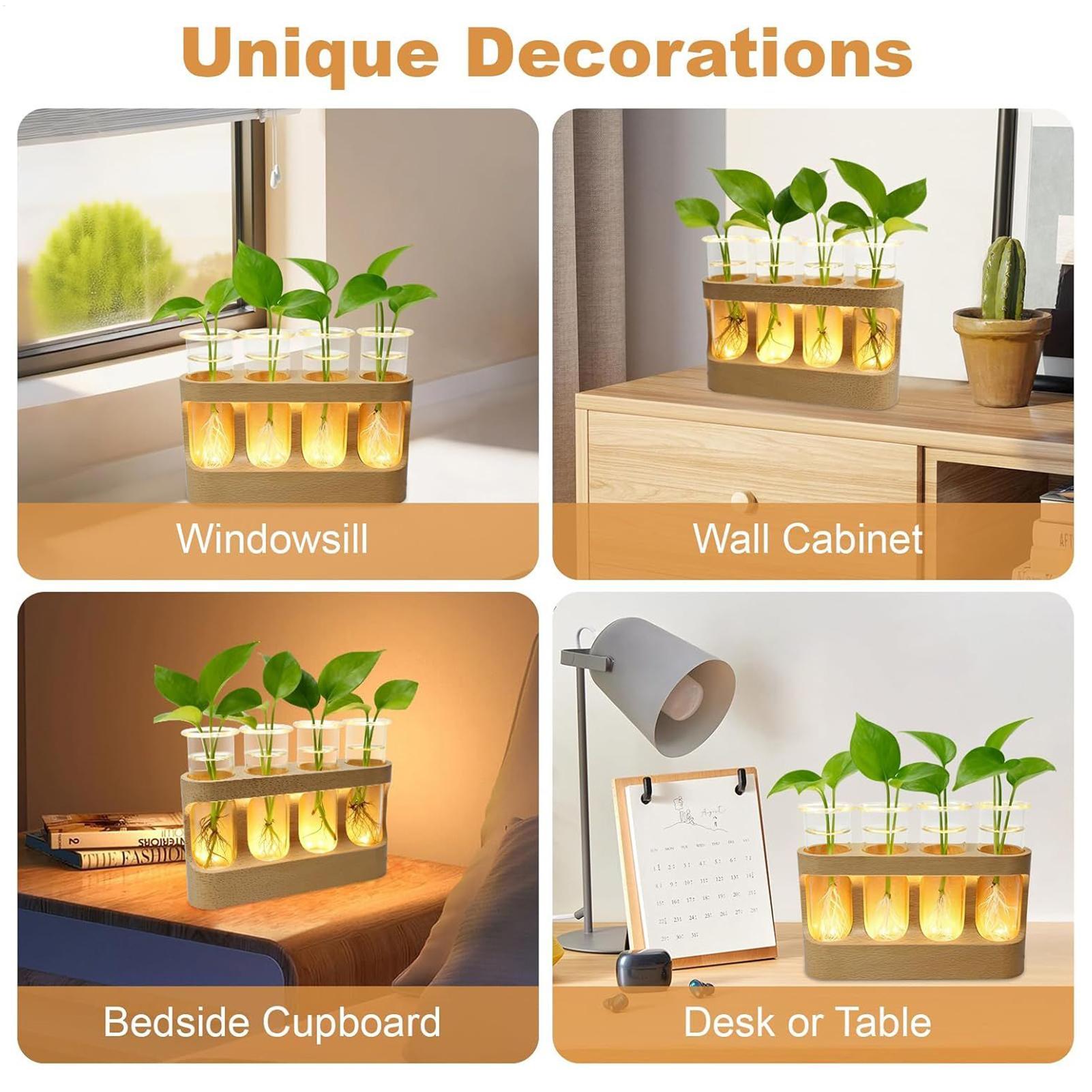 Estação de propagação de plant - Home Decor Youtube avaliação e preço