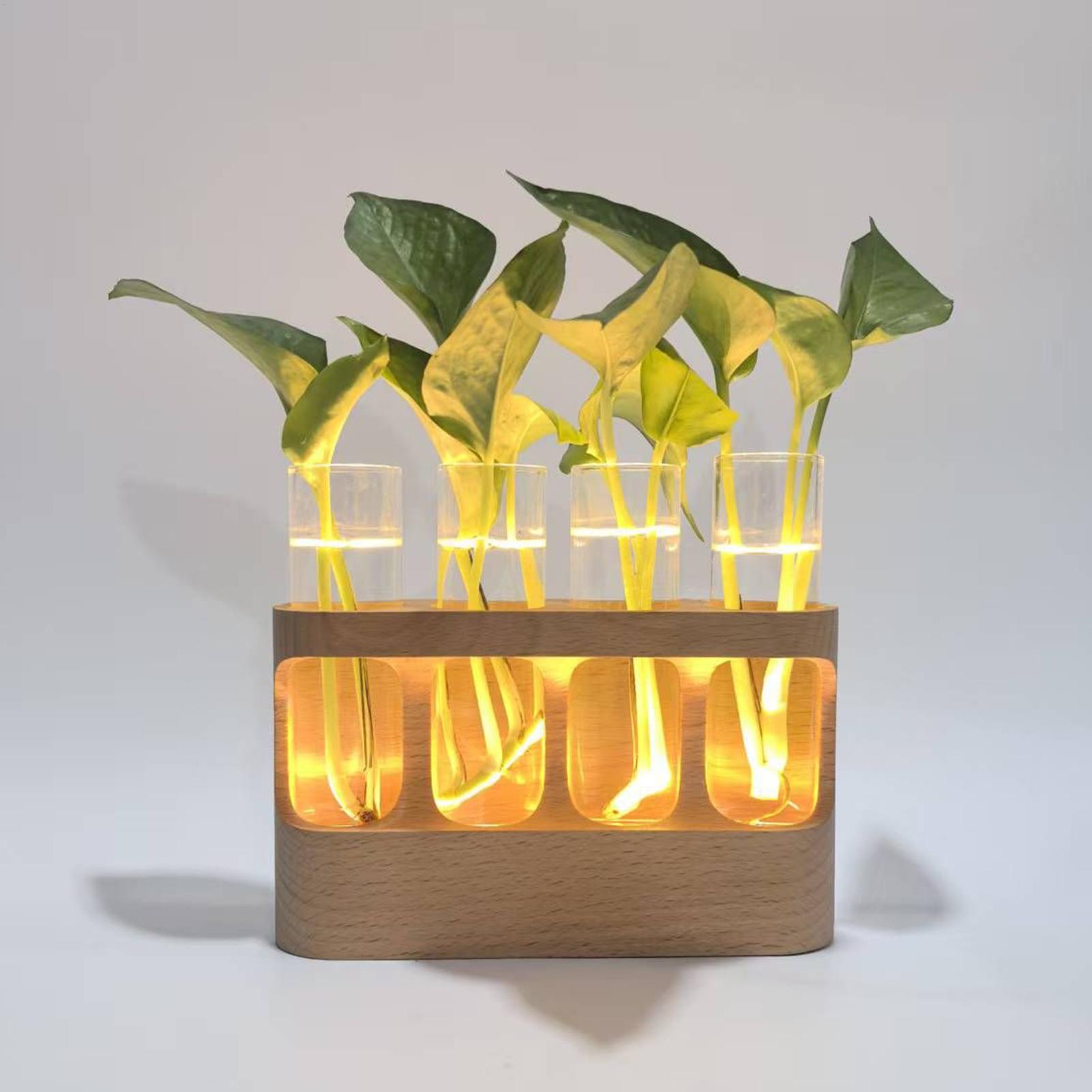 Estação de propagação de plant - Home Decor Youtube avaliação e preço