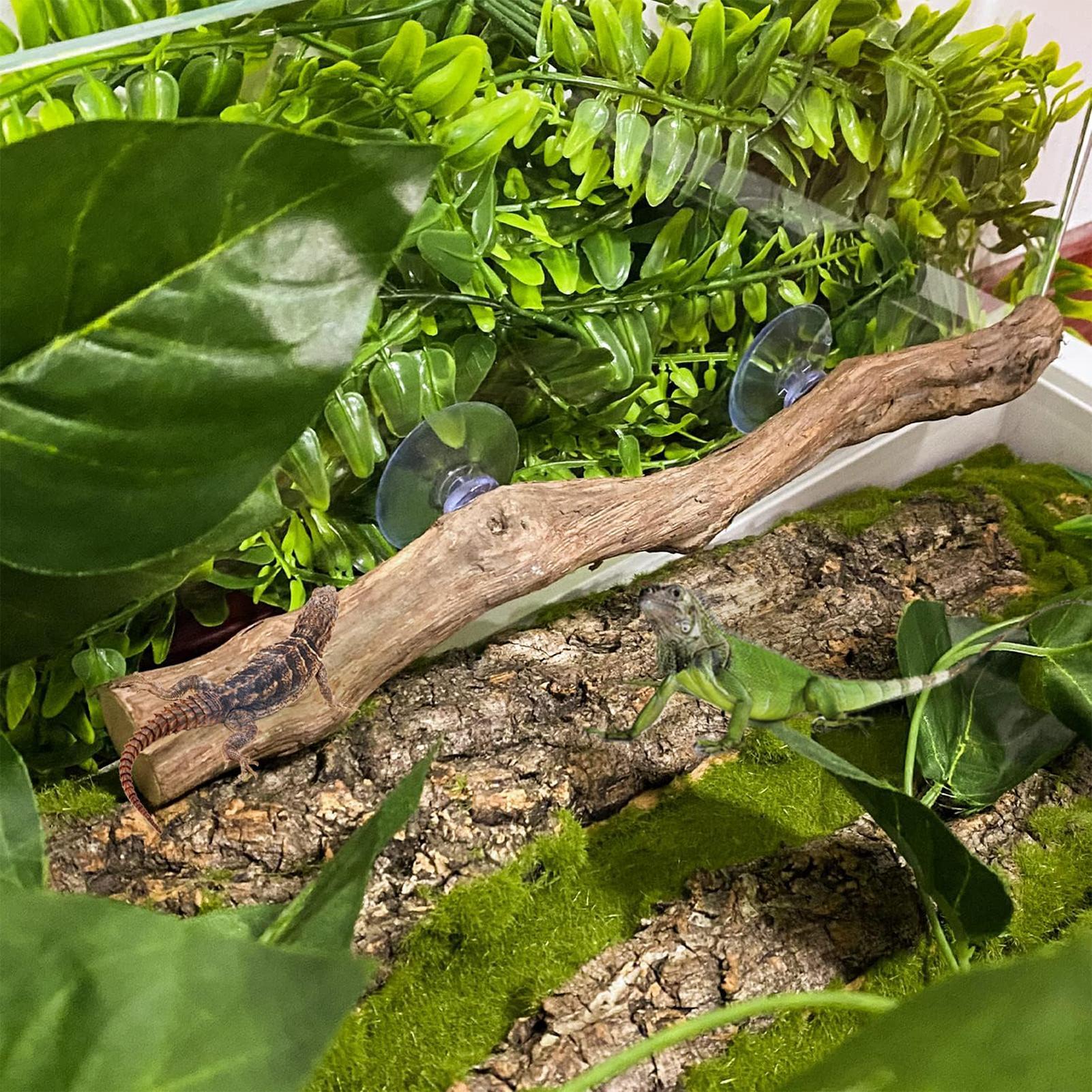 Pau de Escalada de Madeira par - Home Decor Habitat avaliação e preço
