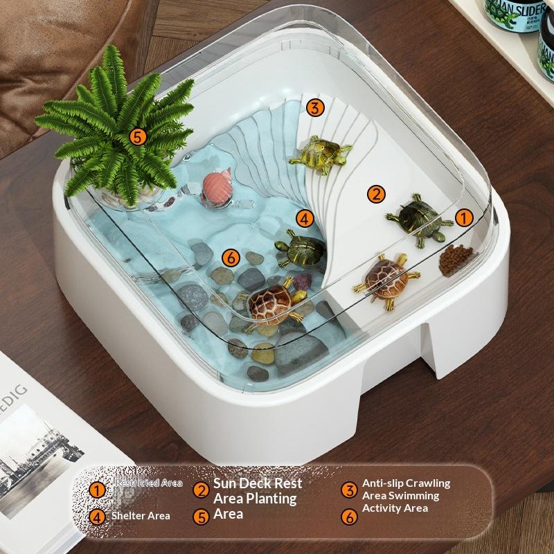 Novo Tanque Transparente para  - Home Decor Habitat avaliação e preço