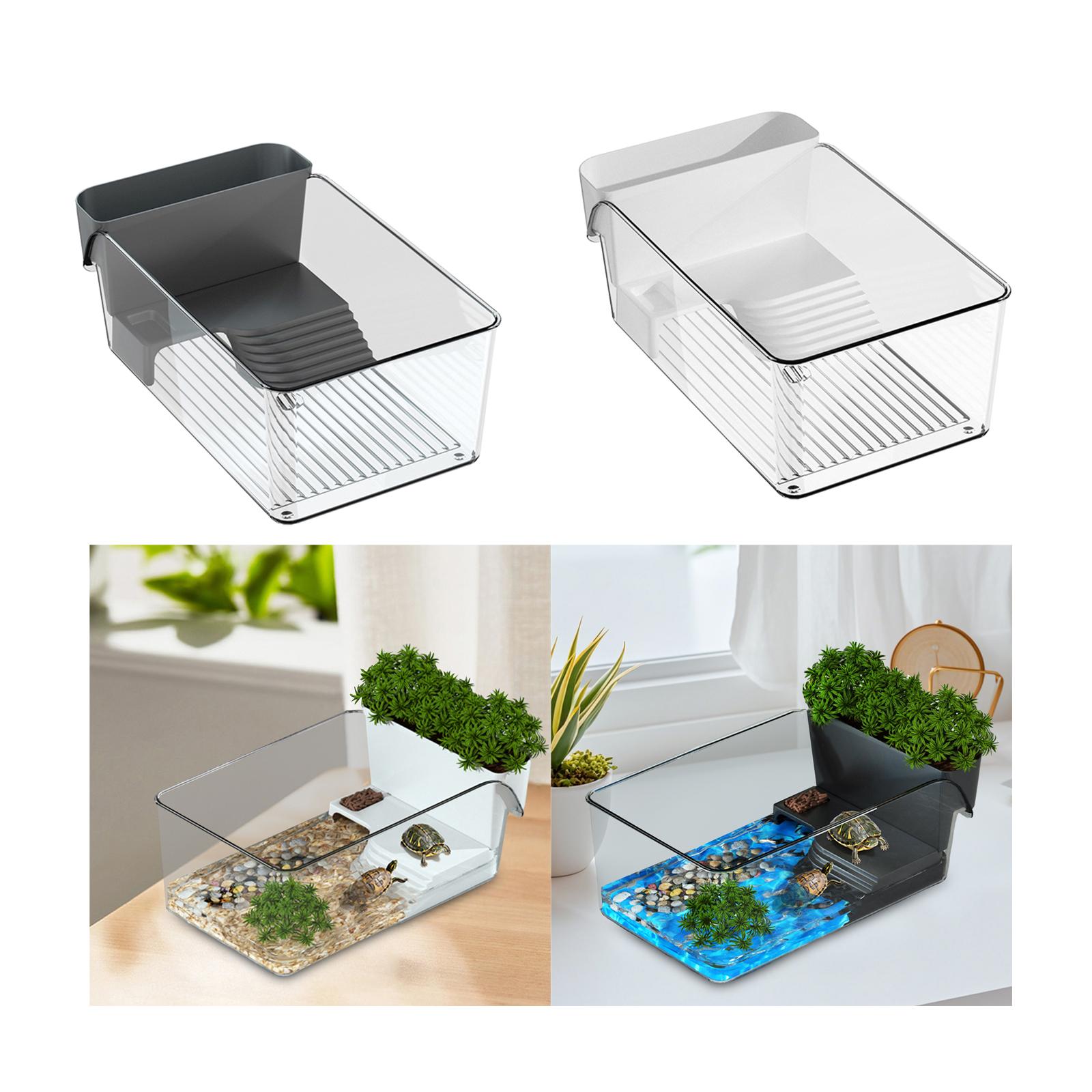 Tanque de tartaruga pequeno, h - Home Decor Habitat avaliação e preço