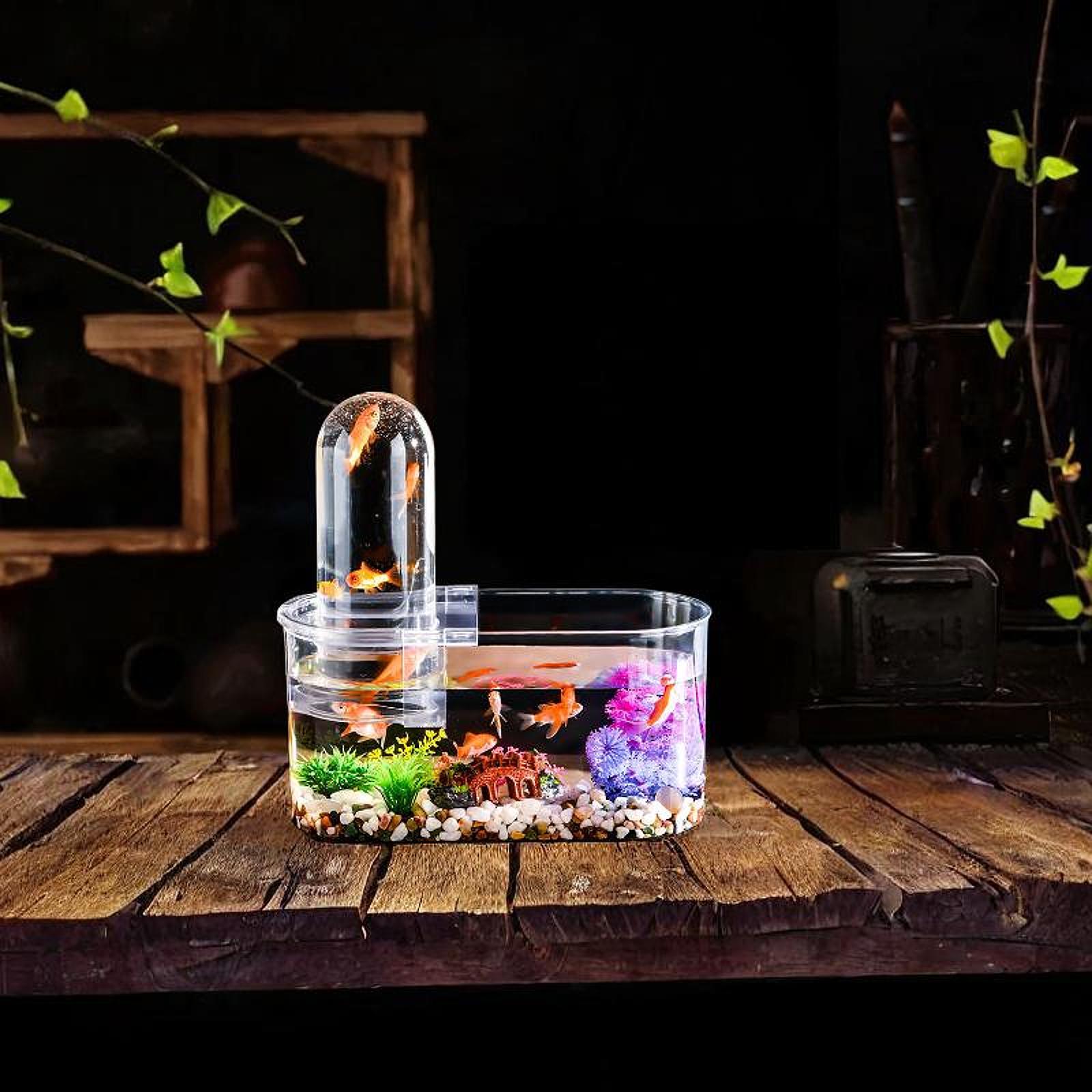 Mini aquário resistente com or - Home Decor Habitat avaliação e preço