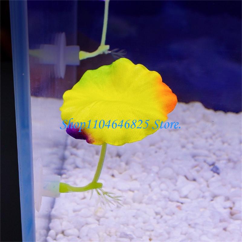 Planta água colorida artificia - Home Decor Habitat avaliação e preço