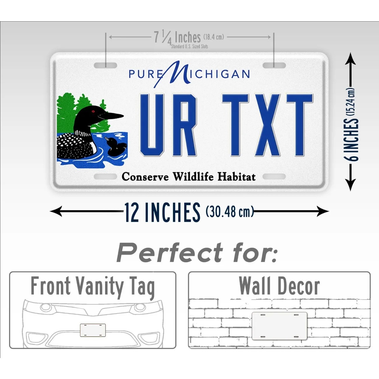 Placa de metal Michigan Conser - Home Decor Habitat avaliação e preço