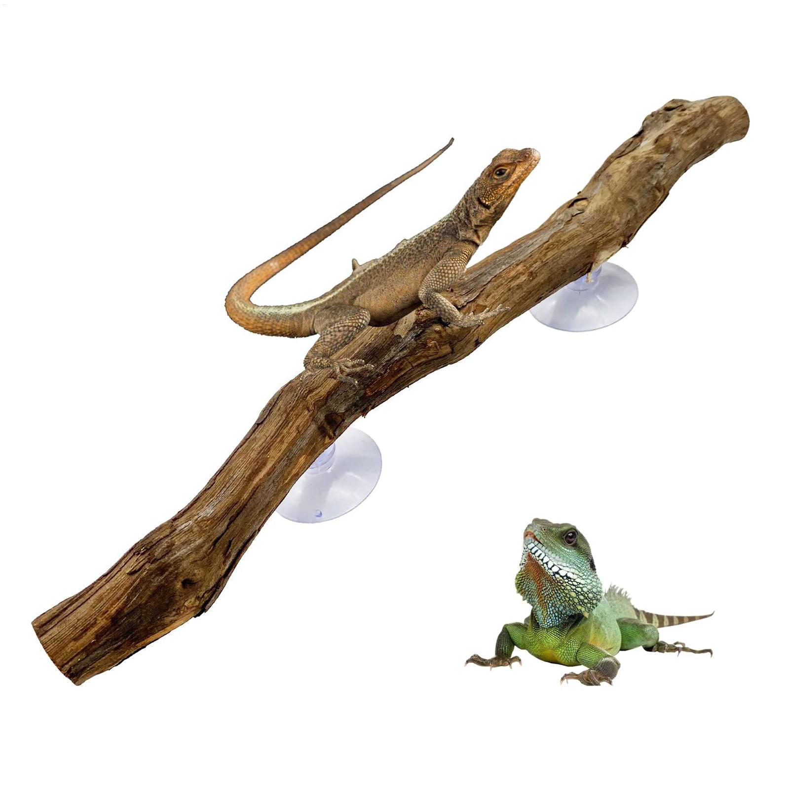 Pau de Escalada para Répteis,  - Home Decor Habitat avaliação e preço